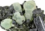 Prehnite Spheres with Epidote - Mali #56102-1